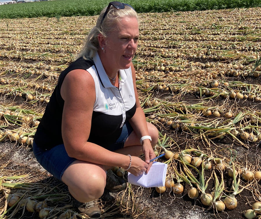 Alliance Agri-Turf employee at crop crop scouting and advising services