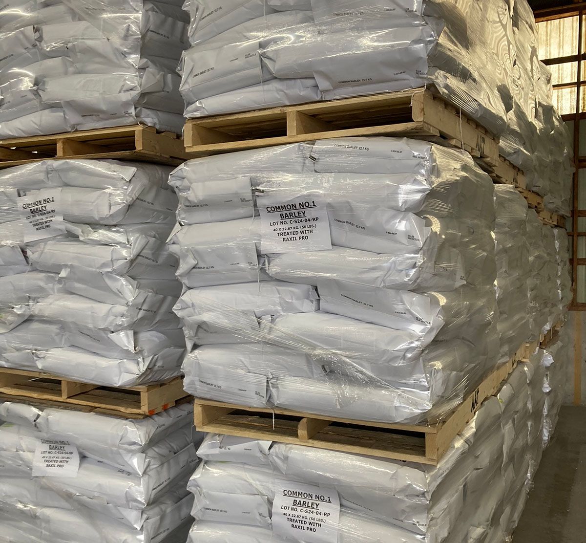 Alliance Agri-Turf seed processing stock