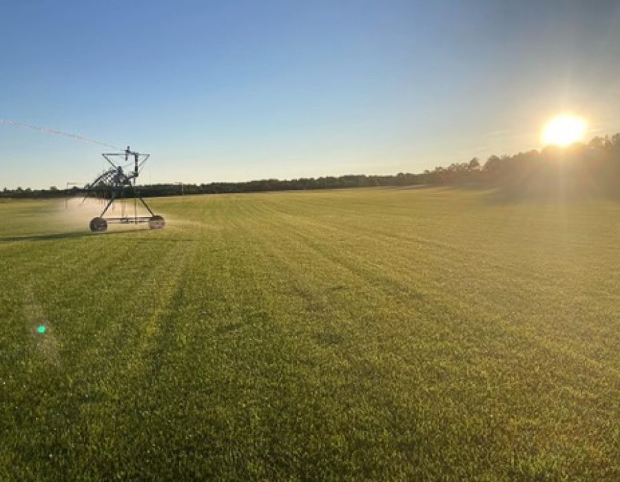 Photo of Alliance Agri-Turf lawn fertilizer equipment spraying turf with blue sky in the background Alliance Agri-Turf Lawn Fertilizer