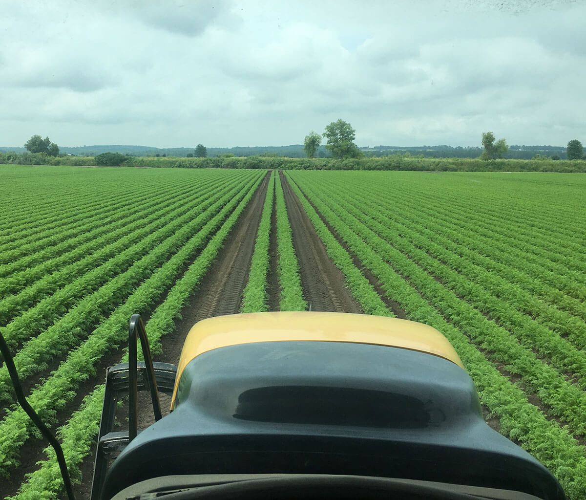 Alliance Agri-Turf employee on equipment with view of land