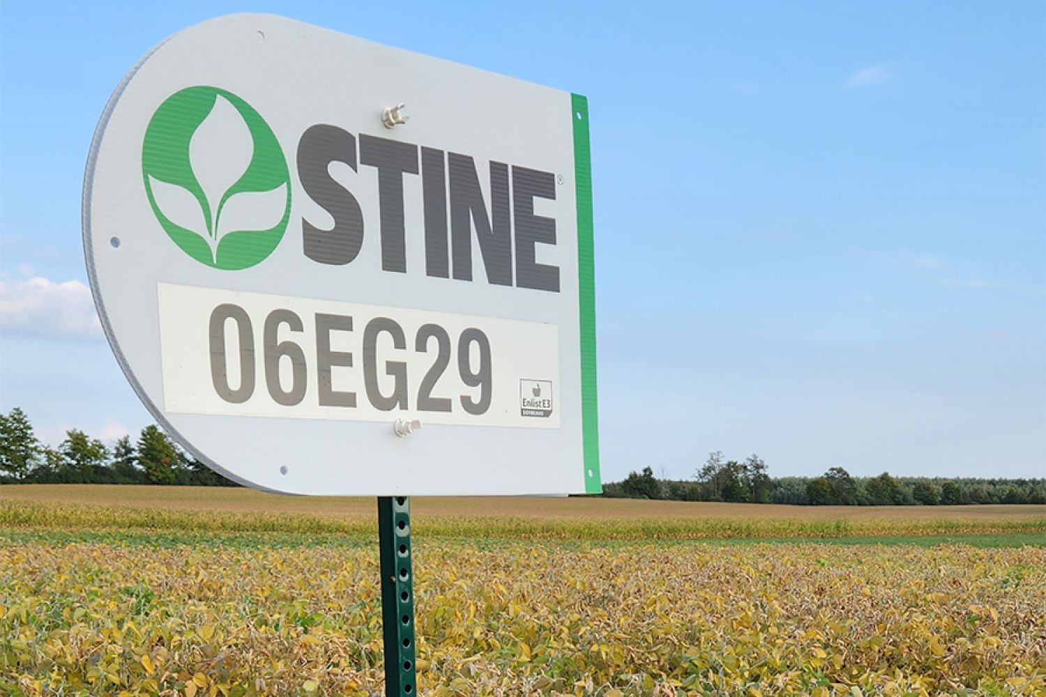 Stine sign