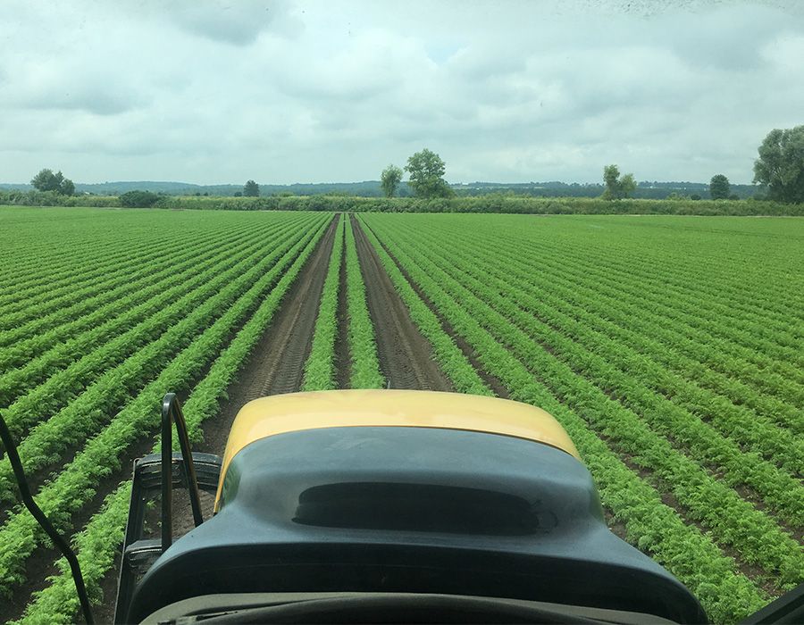 Alliance AgriTurf driver view of crop on machine Alliance Agri-Turf Precision Ag