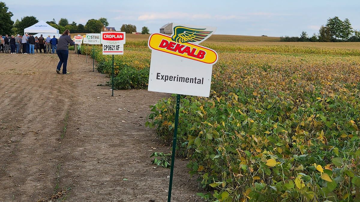 Rows with different brands of crops