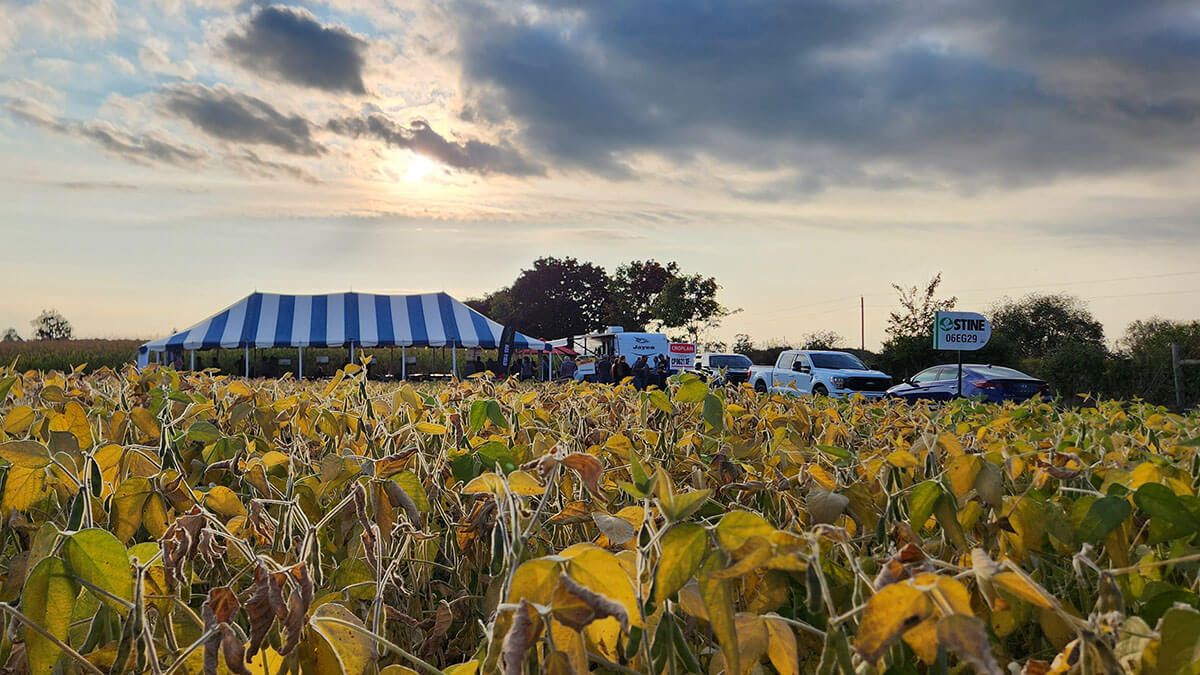 View of the Growers' Day event from the bean patch