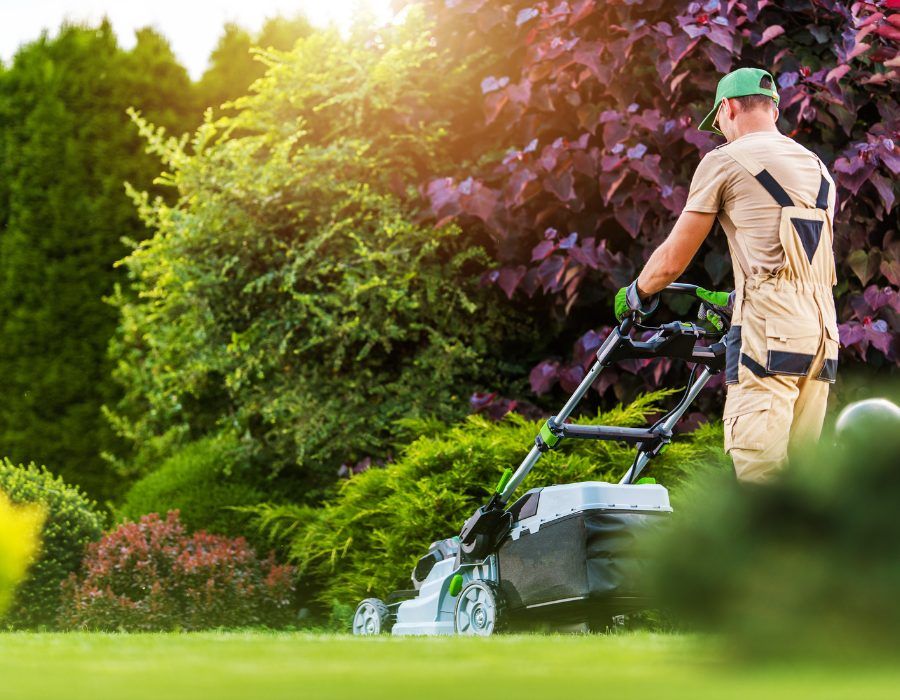 Photo of Landscaper working on lawn Alliance Agri-Turf Landscapers