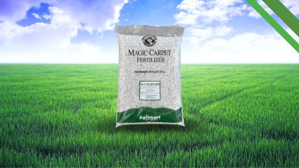 Magic Carpet Fertilizer product image 