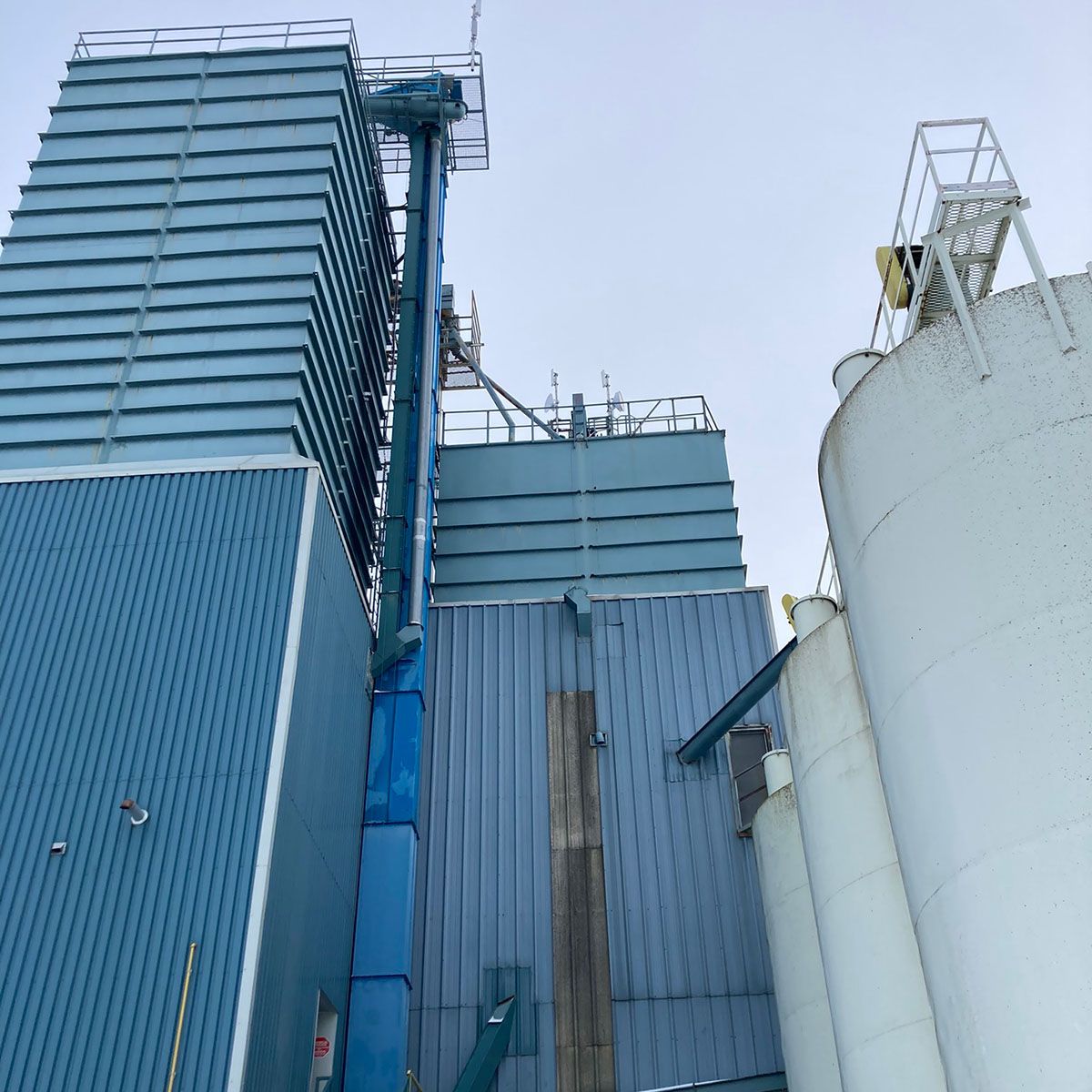 Alliance Agri-Turf Ivy building