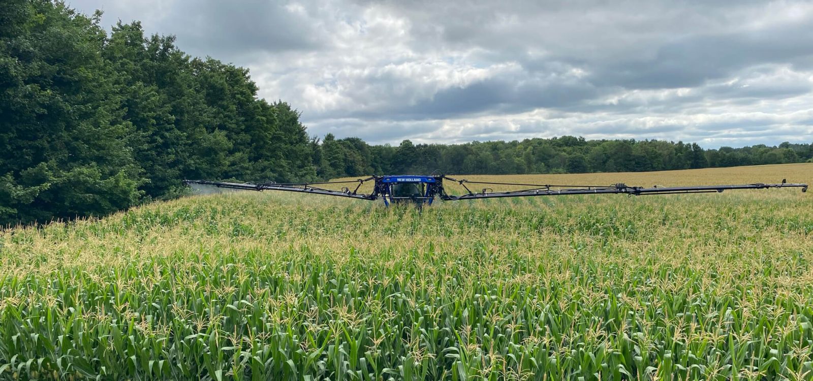 Alliance Agri-Turf harvesting corn with machinery