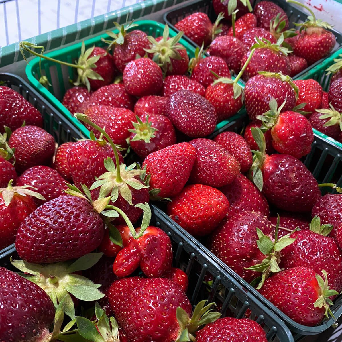 Alliance Agri-Turf fresh strawberries