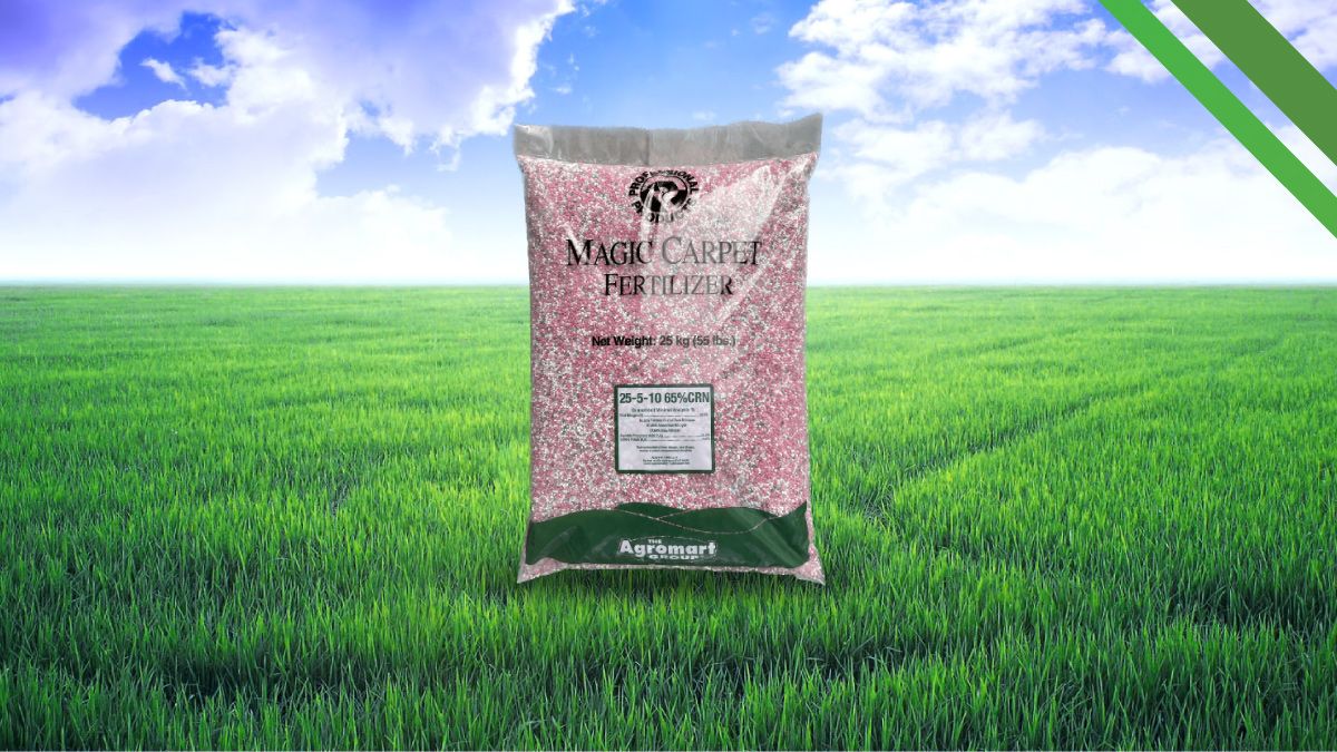 Magic Carpet Fertilizer product image 