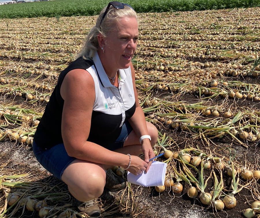 Alliance Agri-Turf employee at crop crop scouting and advising services