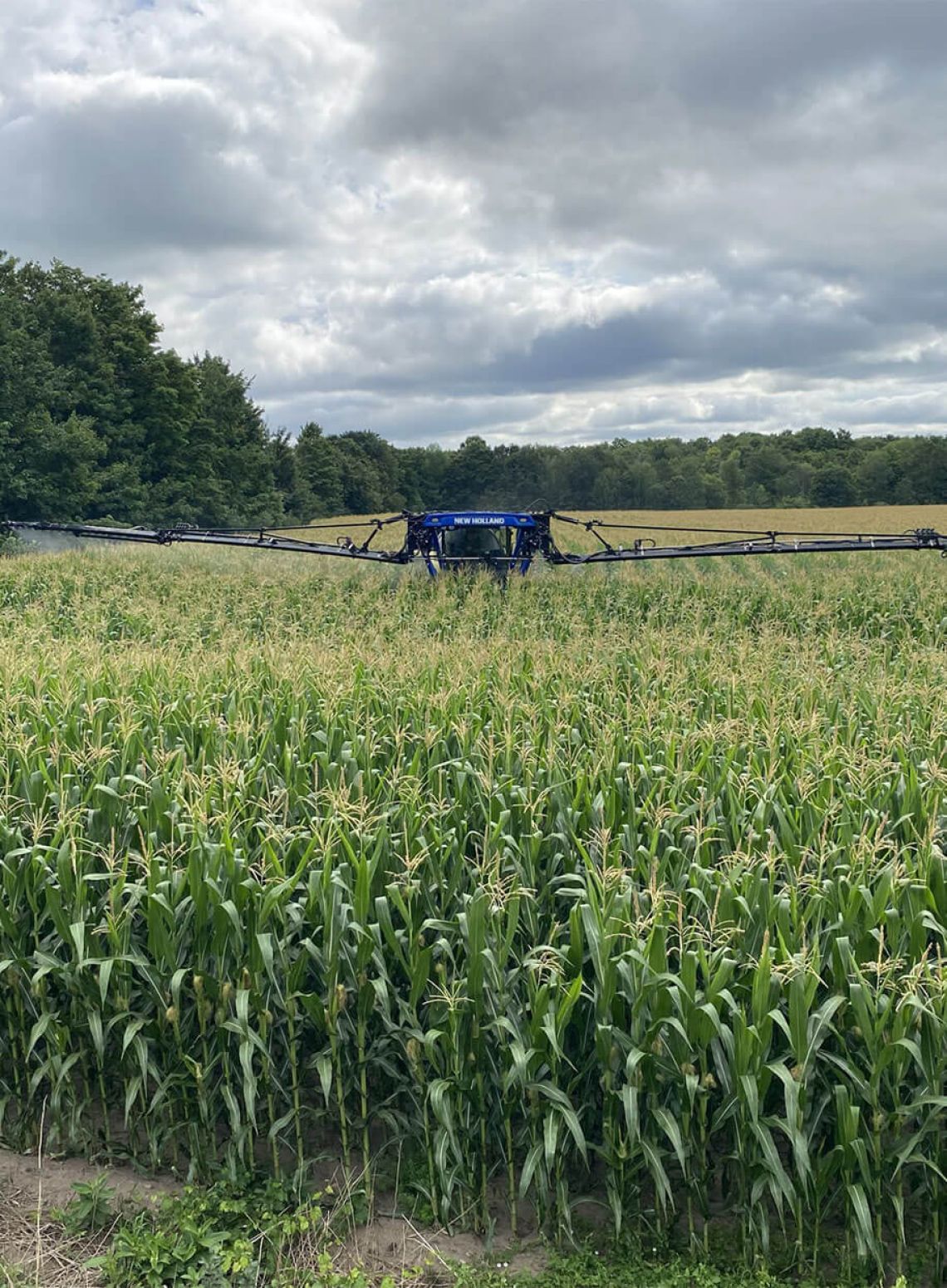 Photo of Alliance Agri-Turf's agricultural equipment working in corn crop Alliance Agri-Turf Crop Protection