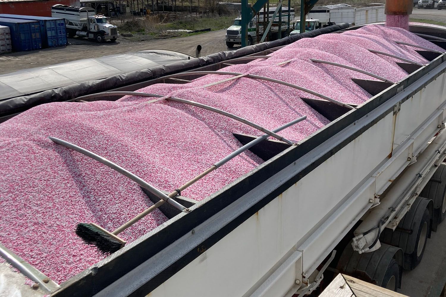 Sollio Agriculture New Fertilizer Plant in St. Thomas