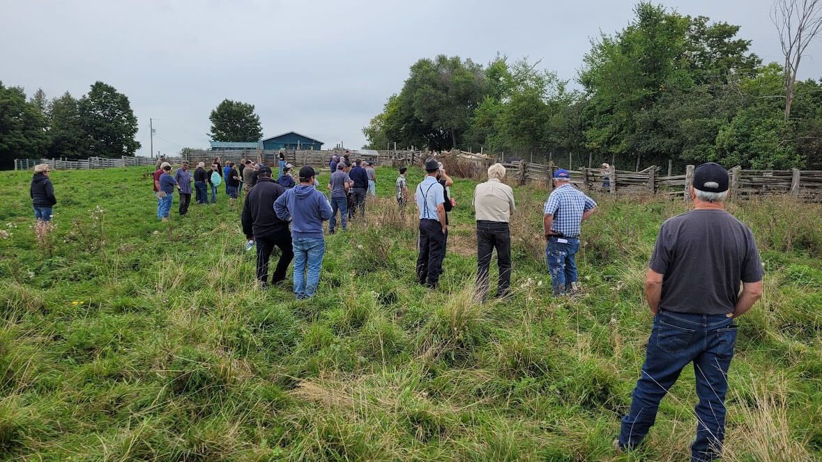A group of people on the field