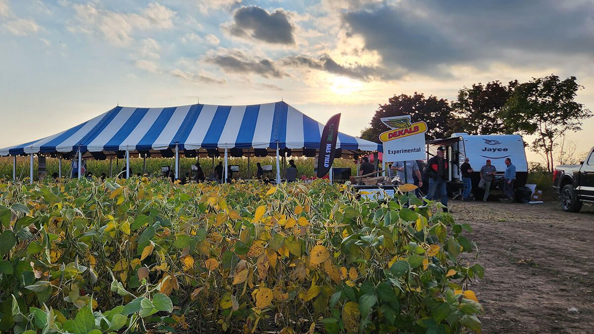 A crowd has arrived for Growers' Day