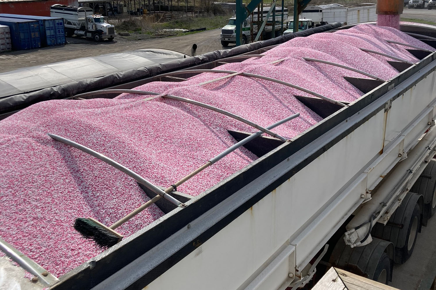 Sollio Agriculture New Fertilizer Plant in St. Thomas