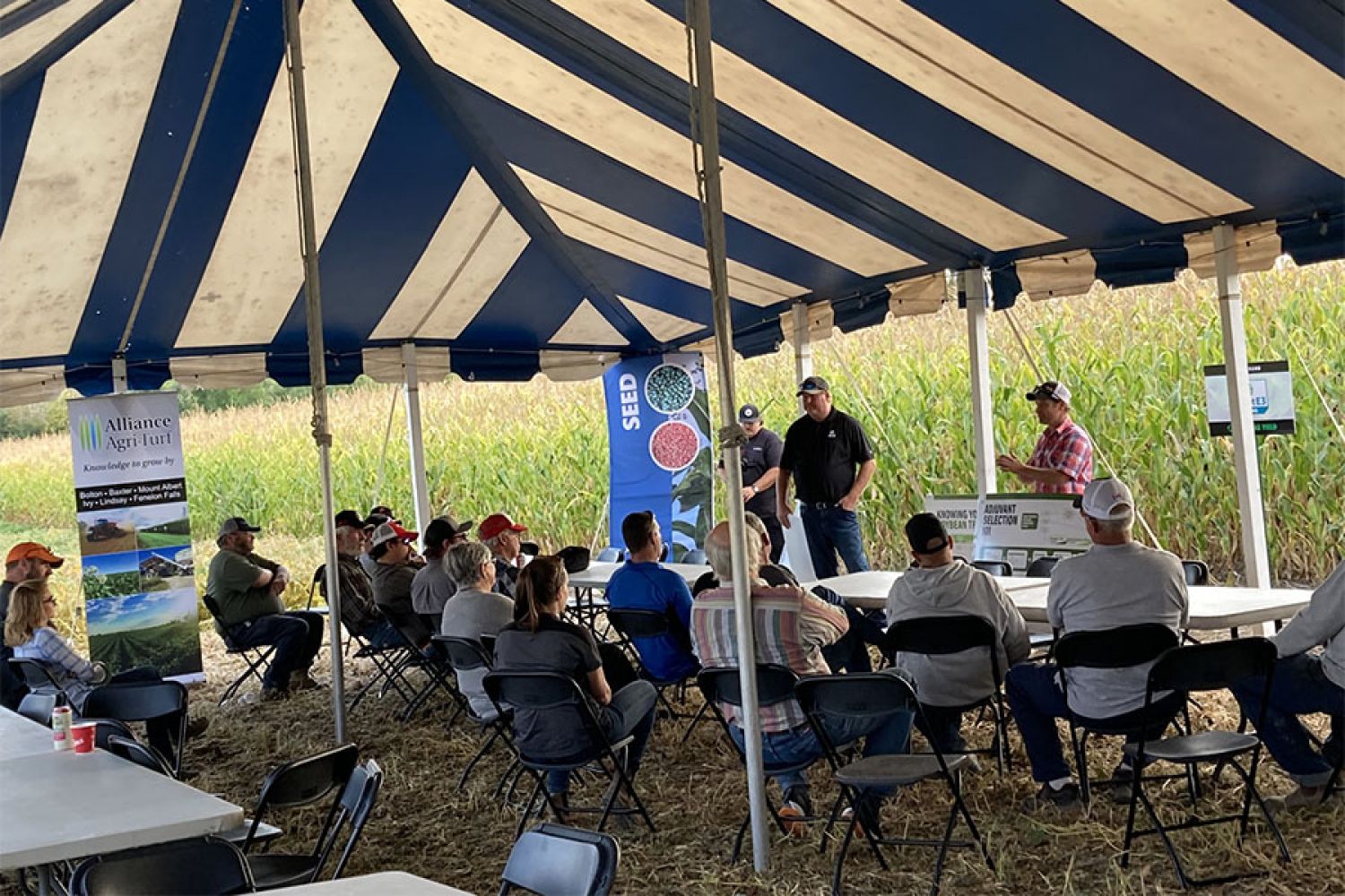 Meeting under a canopy